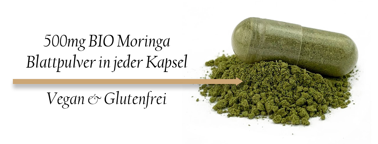 500mg BIO Moringa Oleifera Blattpulver in veganen Kapseln