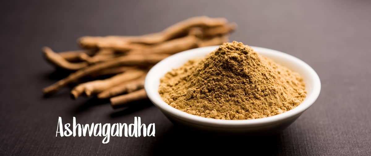 Ashwagandha Pulver - Info