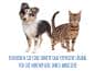 Preview: Ohrenreiniger für Hunde & Katzen - 250ml - Geruchslos und ohne Brennen