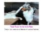 Preview: Taurin Pulver für Hunde & Katzen (100 Gramm)