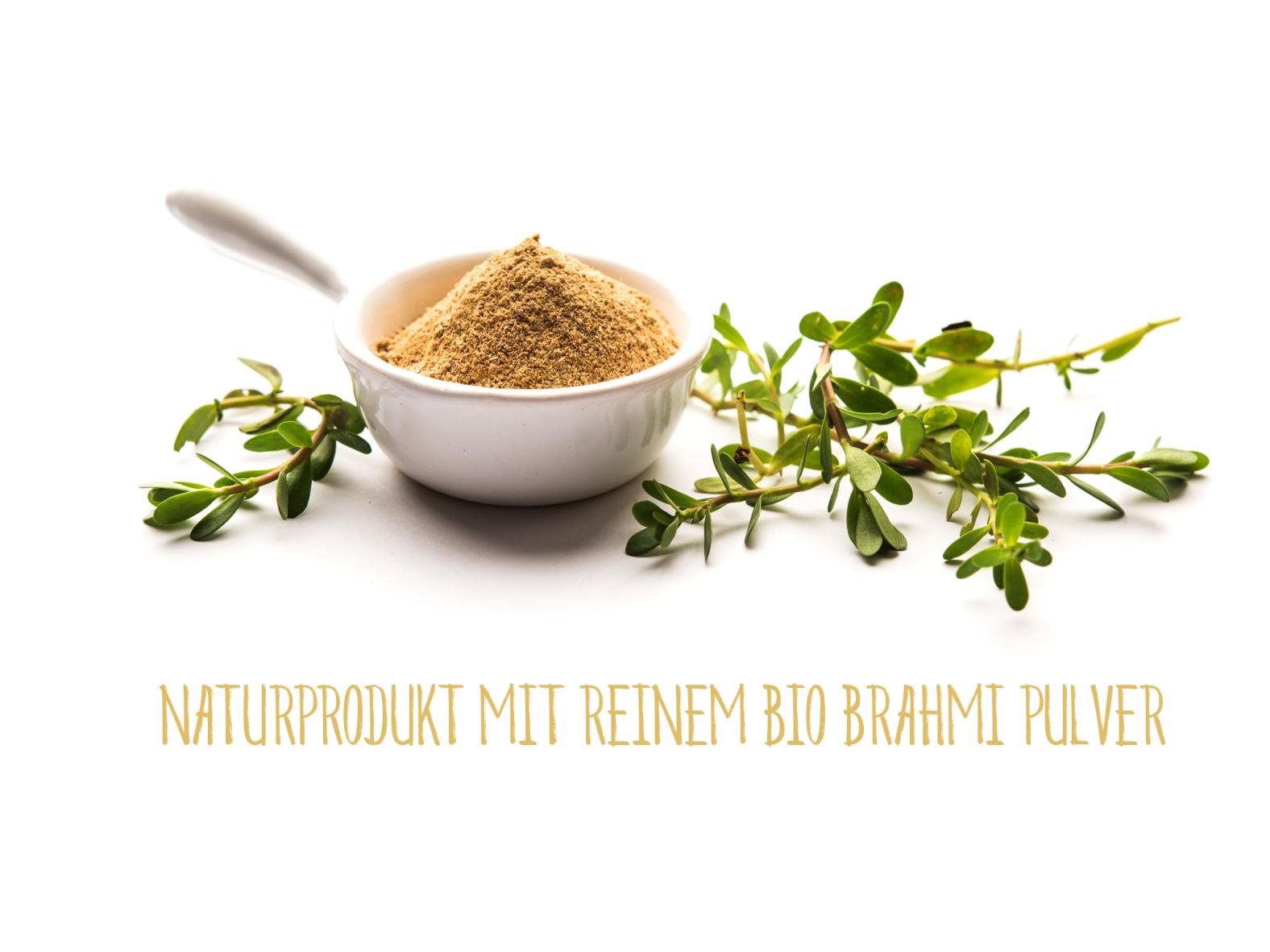 BIO Brahmi - Bacopa monnieri (1x 180 Kapseln) Vegan & Glutenfrei - Mit reinem Brahmi Pulver