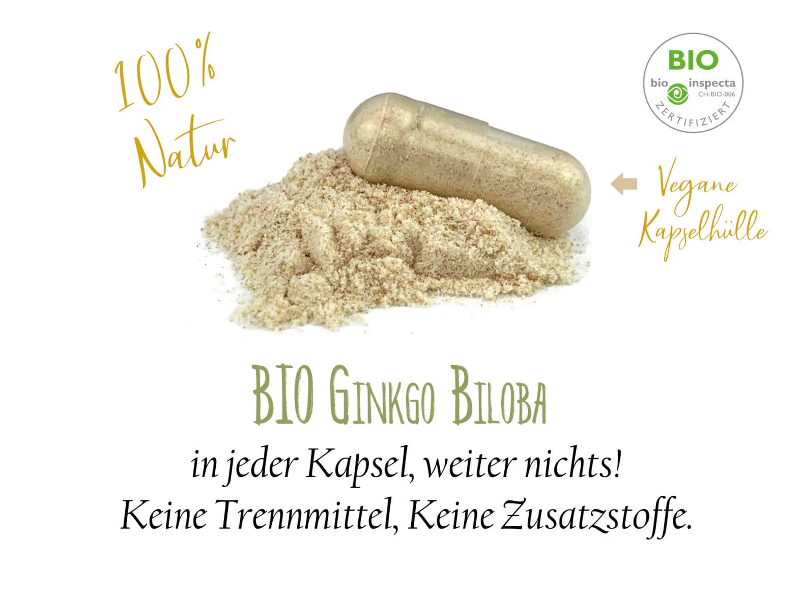 BIO Ginkgo Biloba Kapseln Einzelglas mit 240 Kapseln - Vegan & Glutenfrei