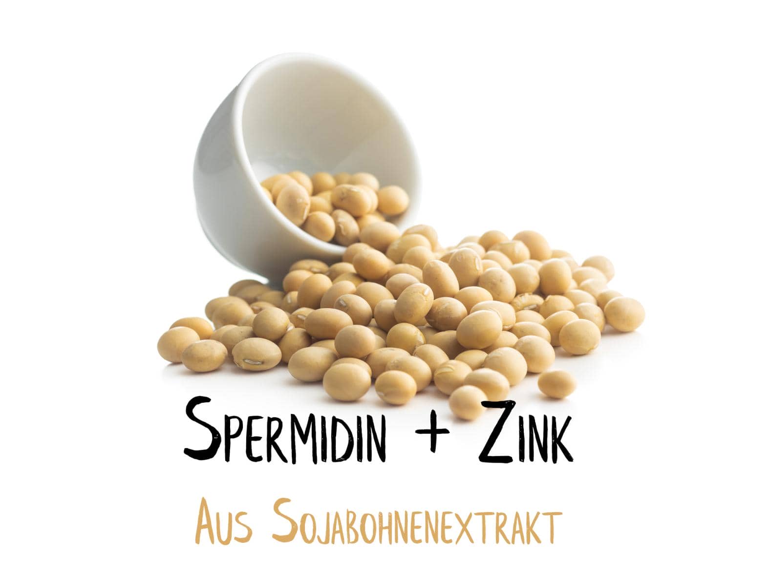 Spermidin + Zink 60 Kapseln - Aus Sojabohnenextrakt - Ausreichend für 1 Monat - Monoaminopropylputrescin