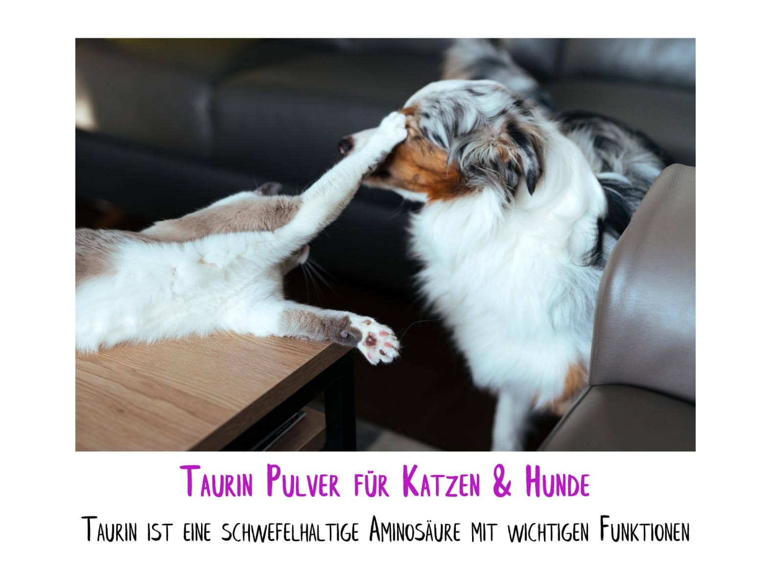 Taurin Pulver für Hunde & Katzen (100 Gramm)