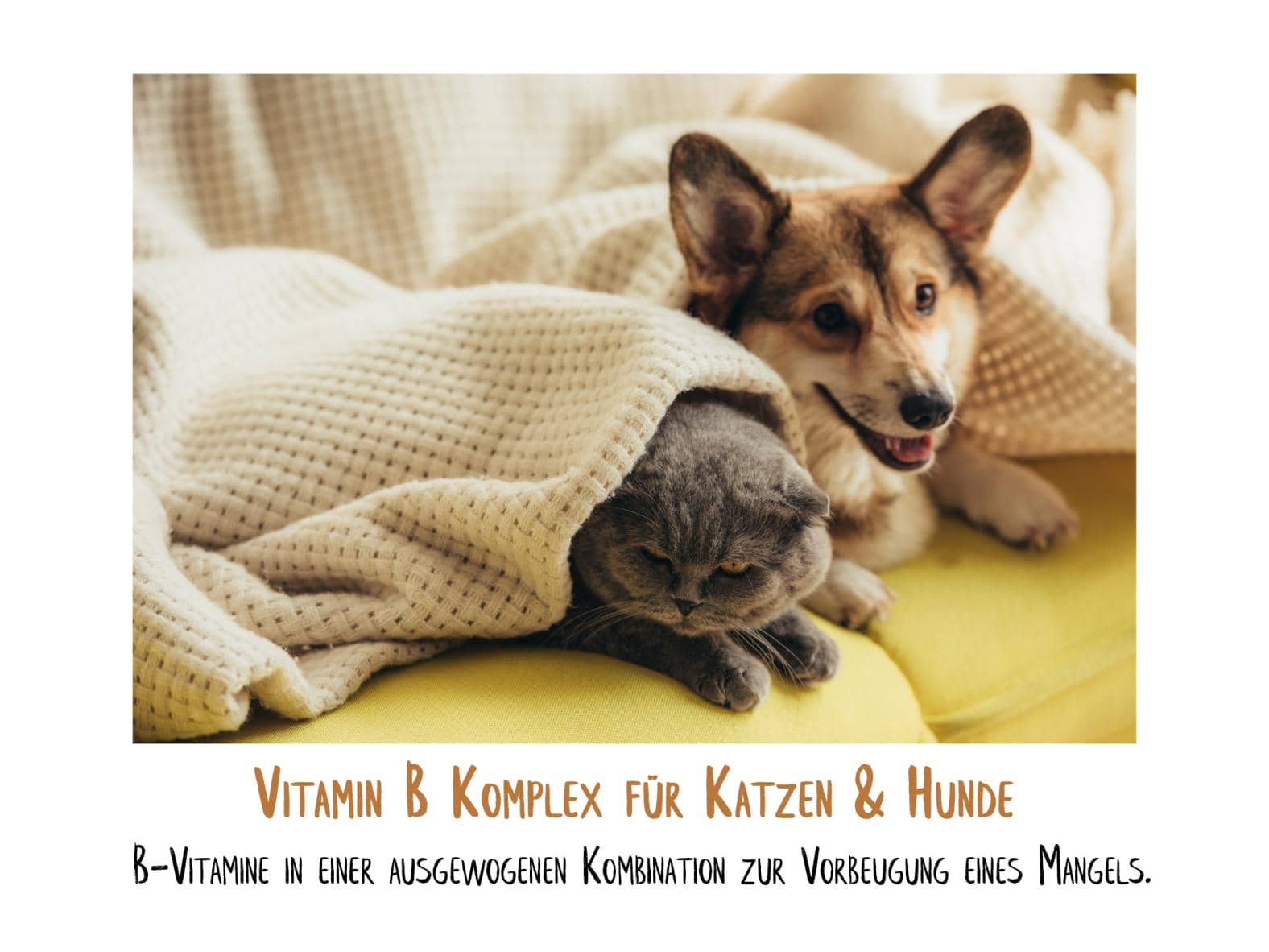 Vitamin B Komplex Hunde Kapseln - 120 Stück